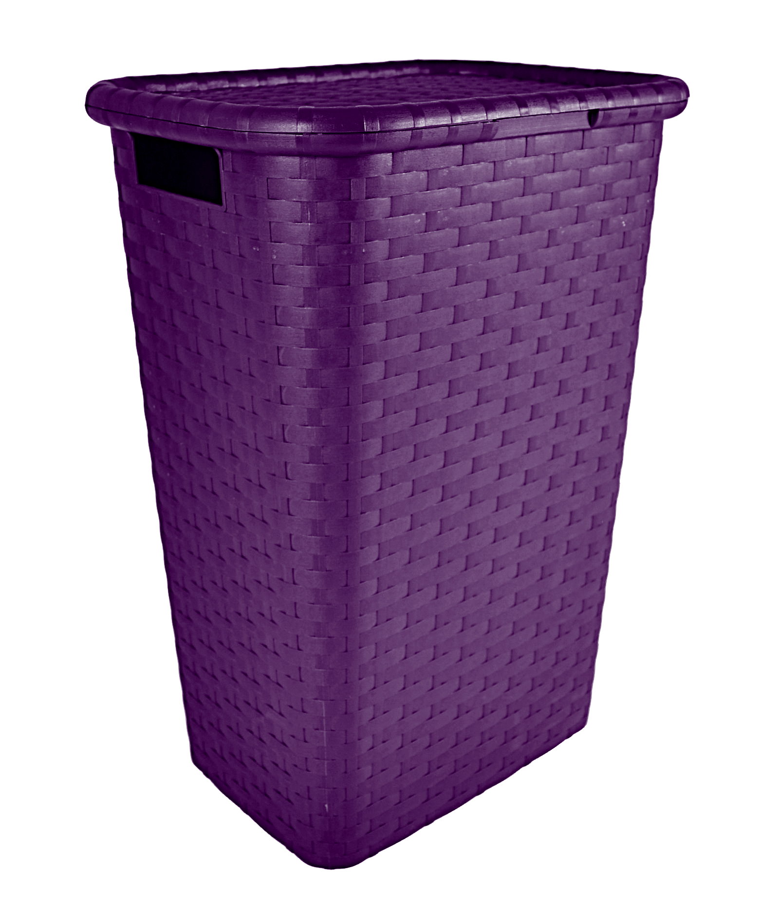 Wäschetruhe 60L Wäschebox Wäschekorb Wäschesammler Wäsche Korb Truhe
