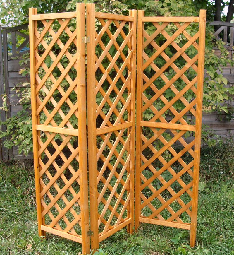 Sichtschutz Rankgitter Aus Holz Für Den Garten Selber Bauen Pictures Rankgitter Aus Holz Praktiker ~ Sichtschutz Rankgitter Aus Holz Für Den Garten Selber Bauen Pictures